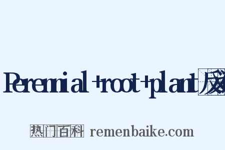 Perennial+root+plant反义词是什么意思的图片